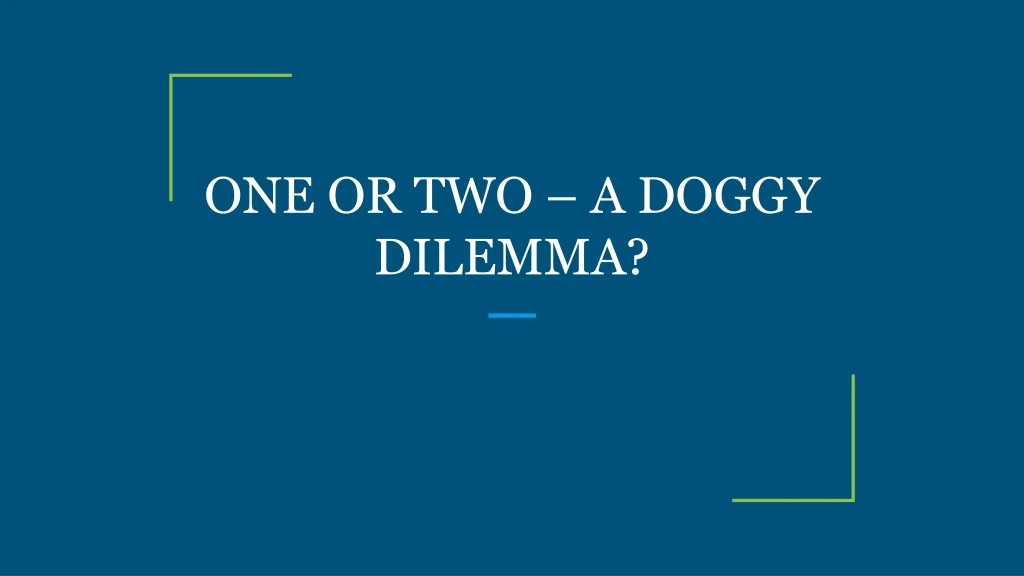 one or two a doggy dilemma