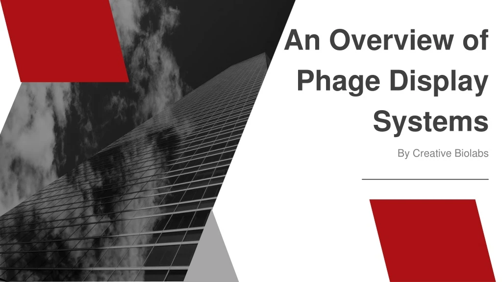an overview of phage display systems