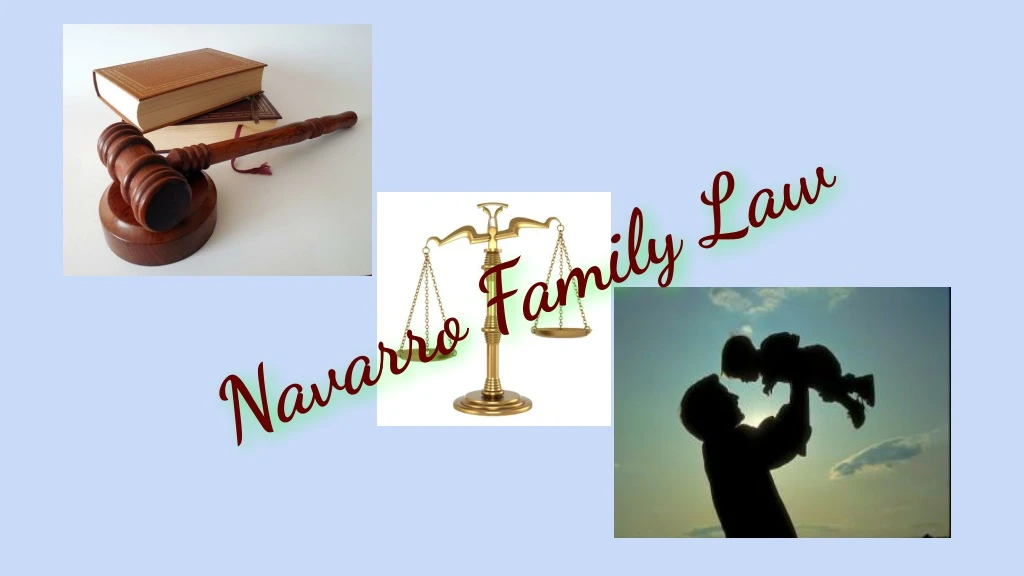 navarro family law