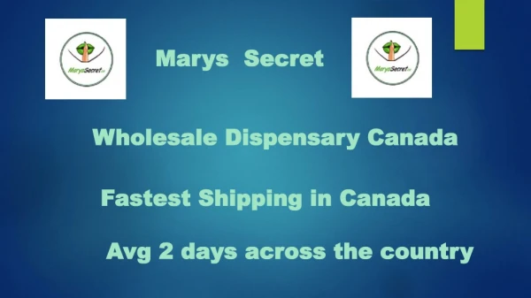Marys Secret- Wholesale Dispensary Canada