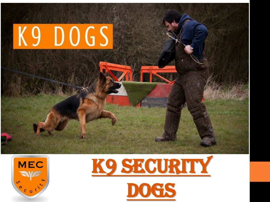 k9 security dogs