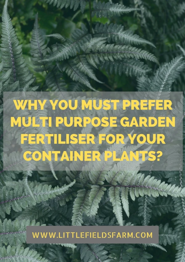 Why you must prefer multi purpose garden fertiliser for your container plants?