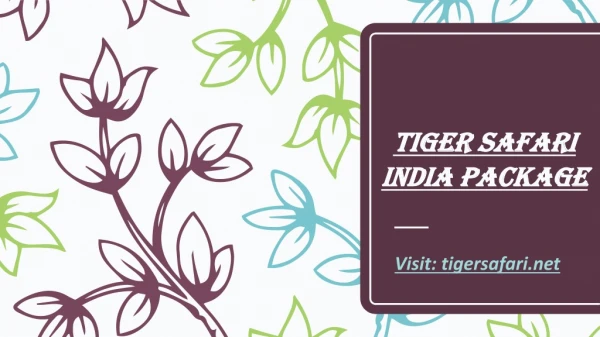 tiger safari india package