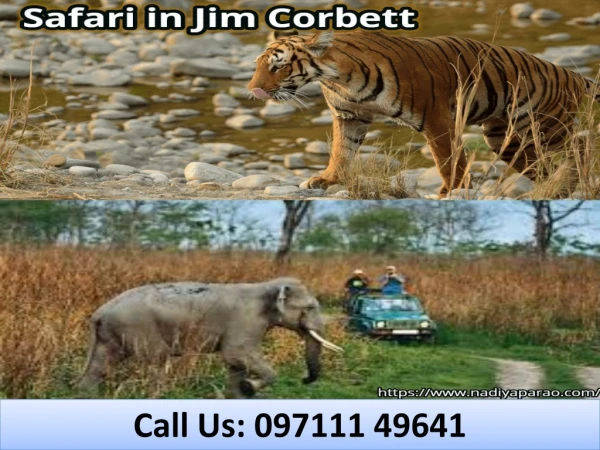 call us 097111 49641
