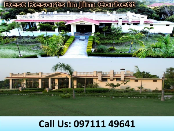 call us 097111 49641