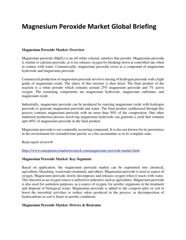 Magnesium Peroxide Market Global Briefing