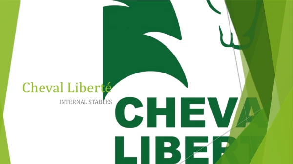Internal Stables For Sale | Cheval Liberte Barns & Stable Partitions