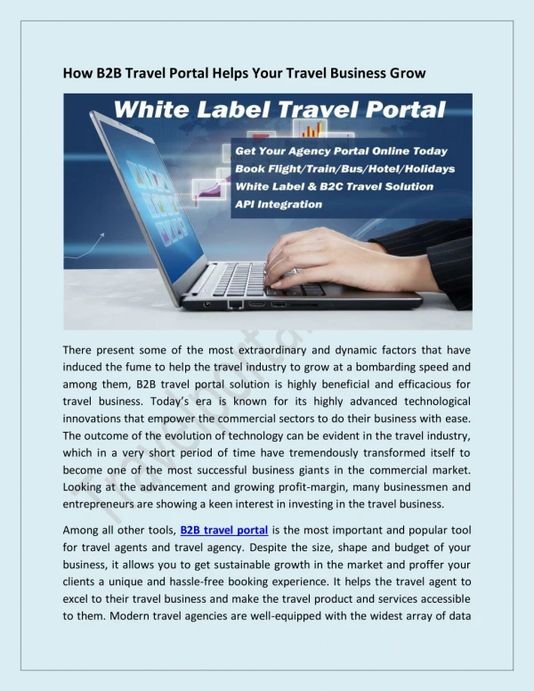 How B2B Travel Portal Helps Your Travel Business Grow