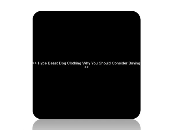 Hype Beast Dog Clothing Why You Should Consider Buying