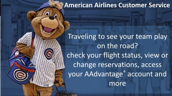 American airlines customer service for flight booking - reservations