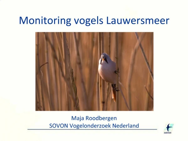 Monitoring vogels Lauwersmeer