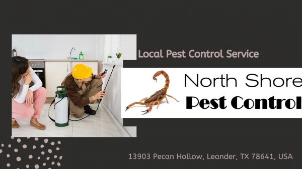 Local Pest Control in Leander, Lago Vista, Cedar Park, Jonestown, Liberty Hill and Georgetown