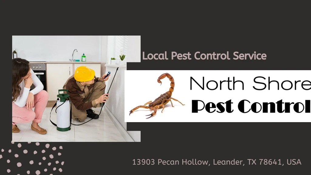 local pest control service