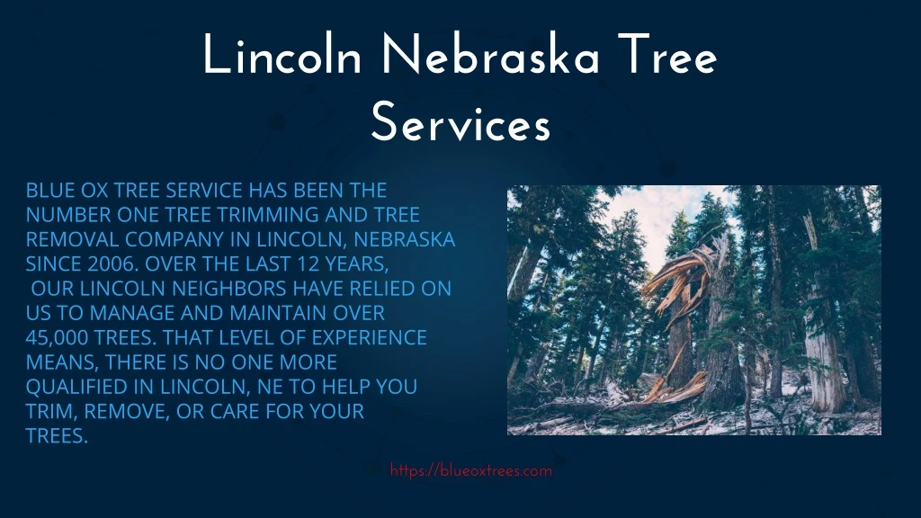 lincoln nebraska tree services