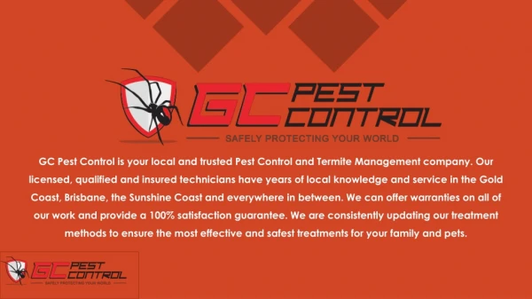 Cheap Pest Control Gold Coast - GC Pest Control