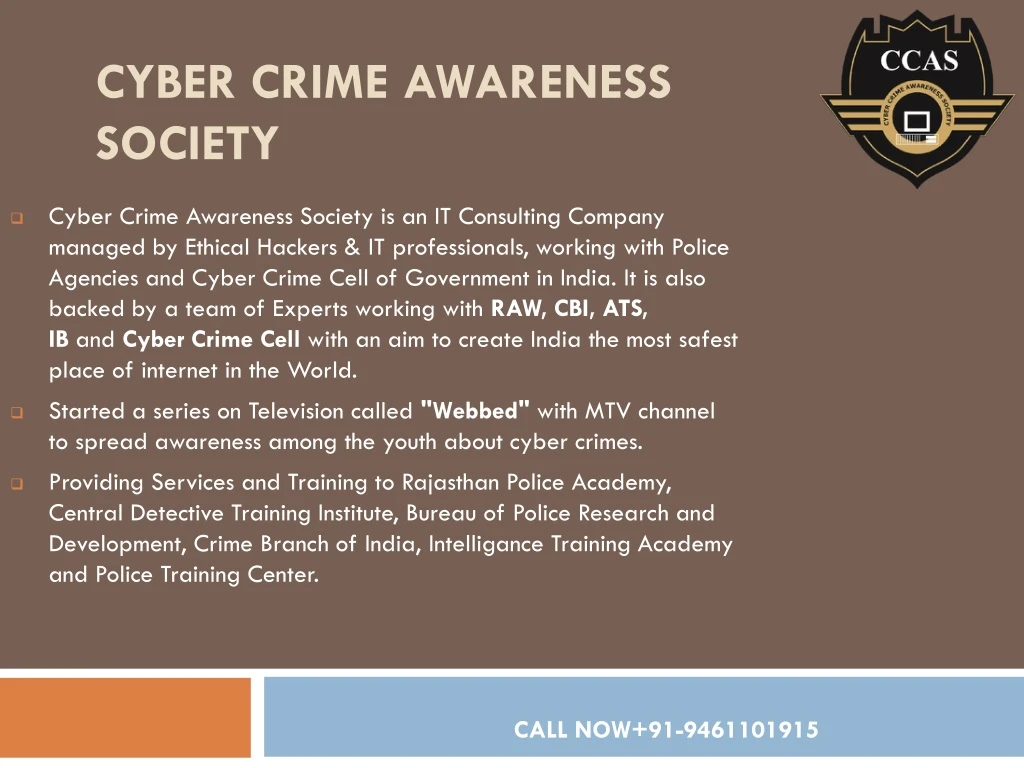 cyber crime awareness society
