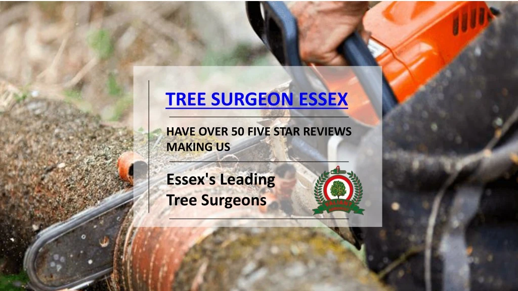 tree surgeon essex