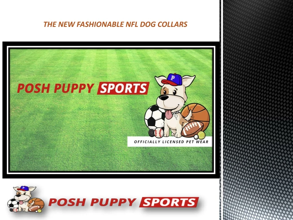 the new fashionable nfl dog collars