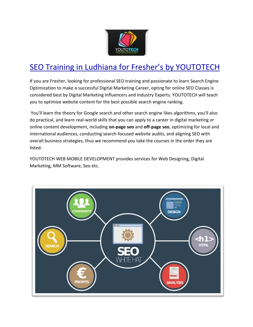 seo training in ludhiana for fresher