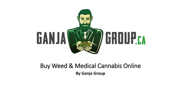 Buy Weed Medical Cannabis - Ganja Group