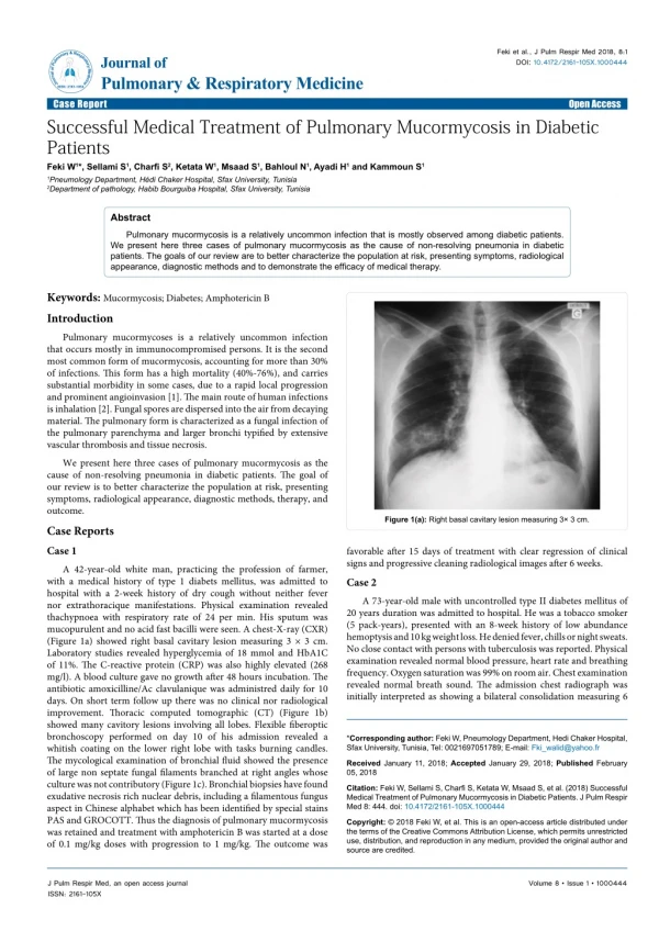 Successful Medical Treatment of Pulmonary Mucormycosis in Diabetic Patients