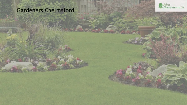 Gardeners Chelmsford