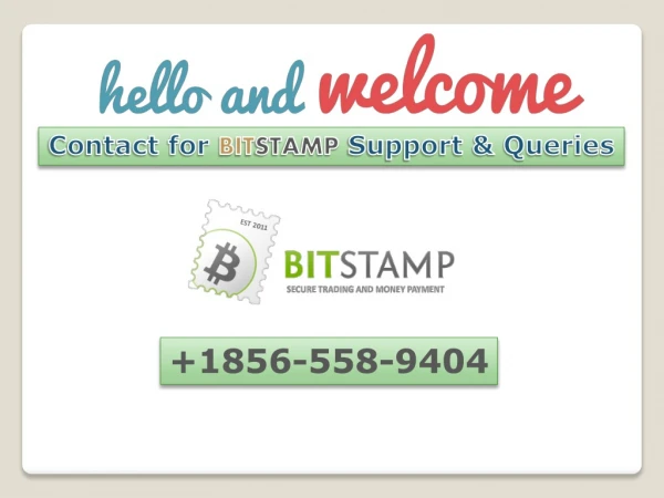 Bitstamp Support Phone Number 1-856-558-9404 Contact Number.