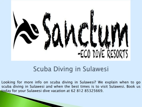 Scuba Diving in Sulawesi