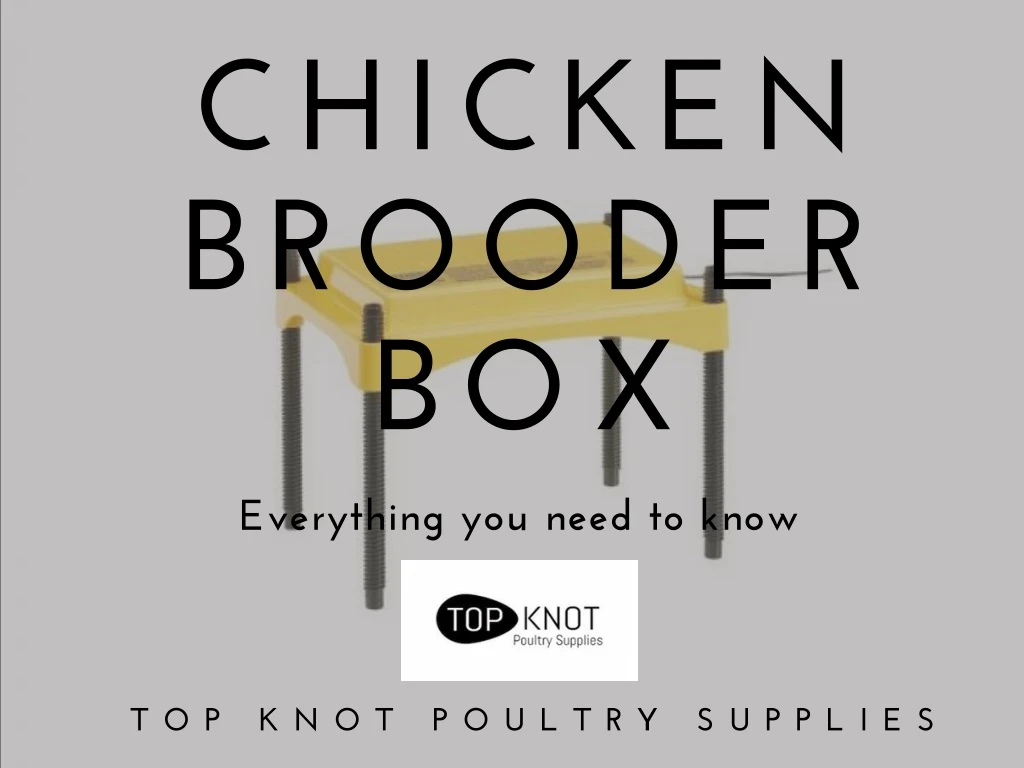 chicken brooder box