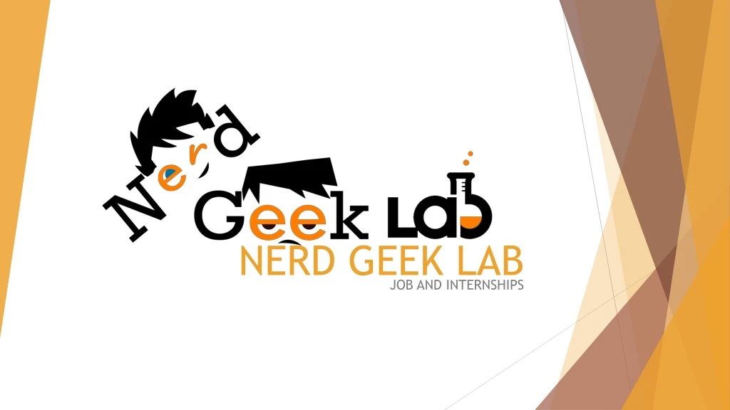 nerd geek lab
