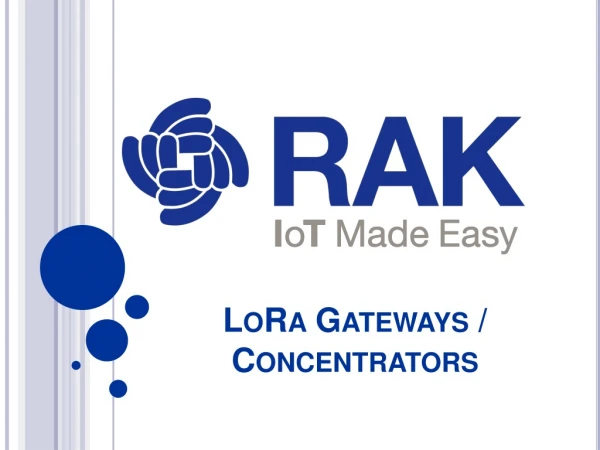Rak LoRa Gateways Concentrators