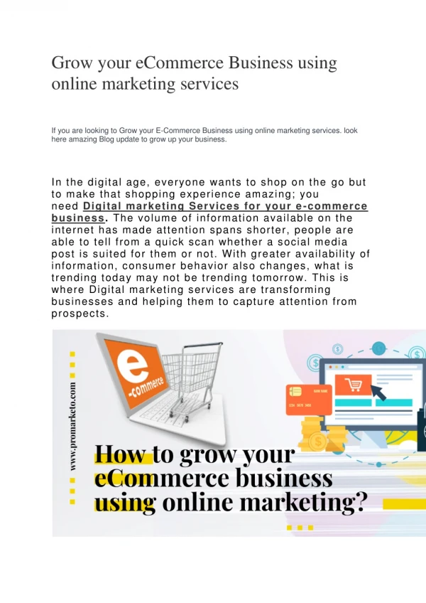 How to Grow your eCommerce Business using online marketing services