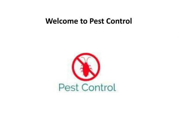 Pest Control Auckland - Steam n Dry guaranteed pest control