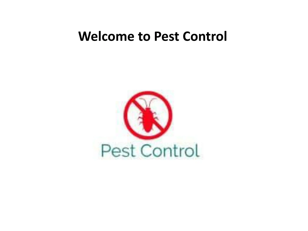 welcome to pest control