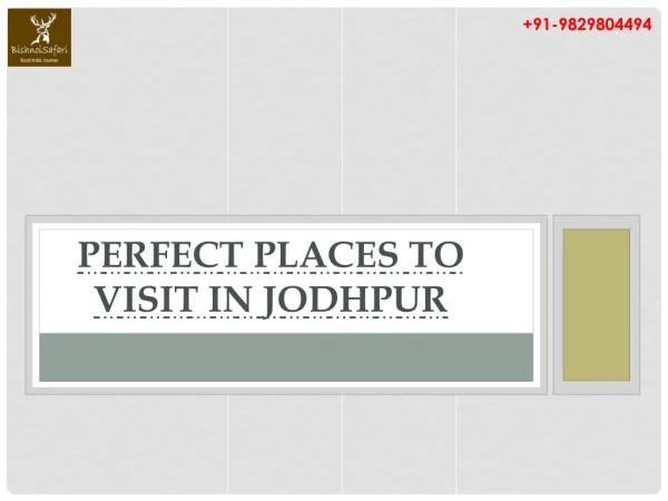 Perfect Places to visit In Jodhpur