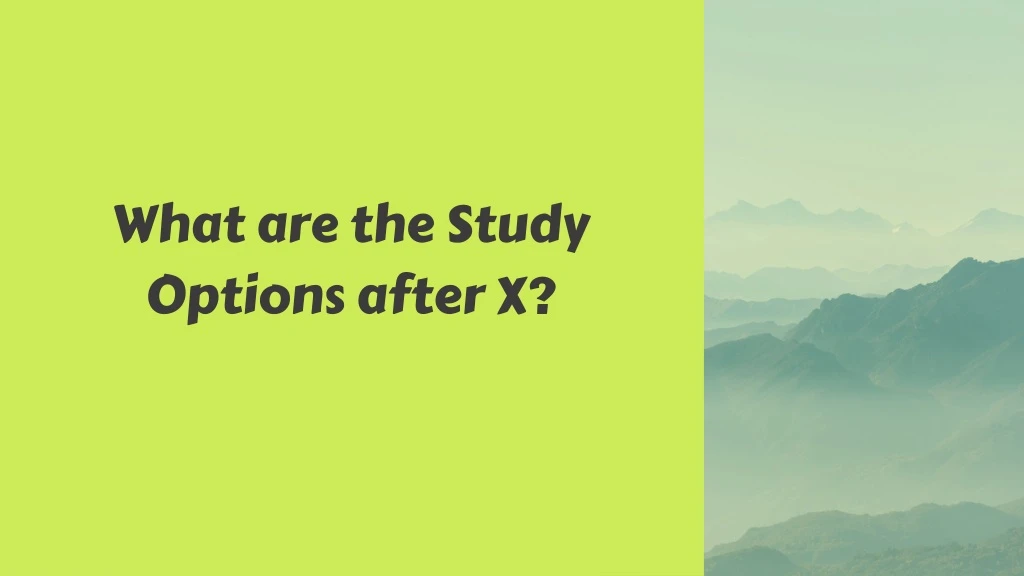 what are the study options after x