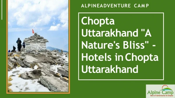 Chopta Uttarakhand "A Nature's Bliss" - Hotels in Chopta Uttarakhand - Alpine Adventure Camp