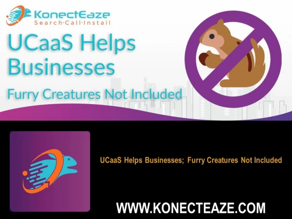 UCaaS Helps Businesses Furry Creatures Not Included