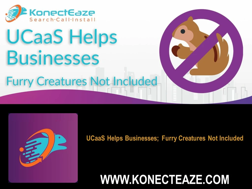 ucaas helps businesses furry creatures