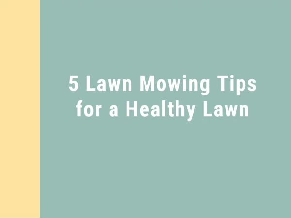 5 Lawn Mowing Tips for a Healthy Lawn