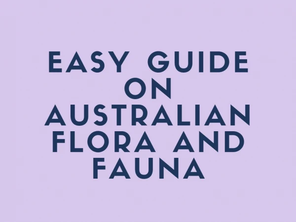Easy Guide on Australian Flora and Fauna