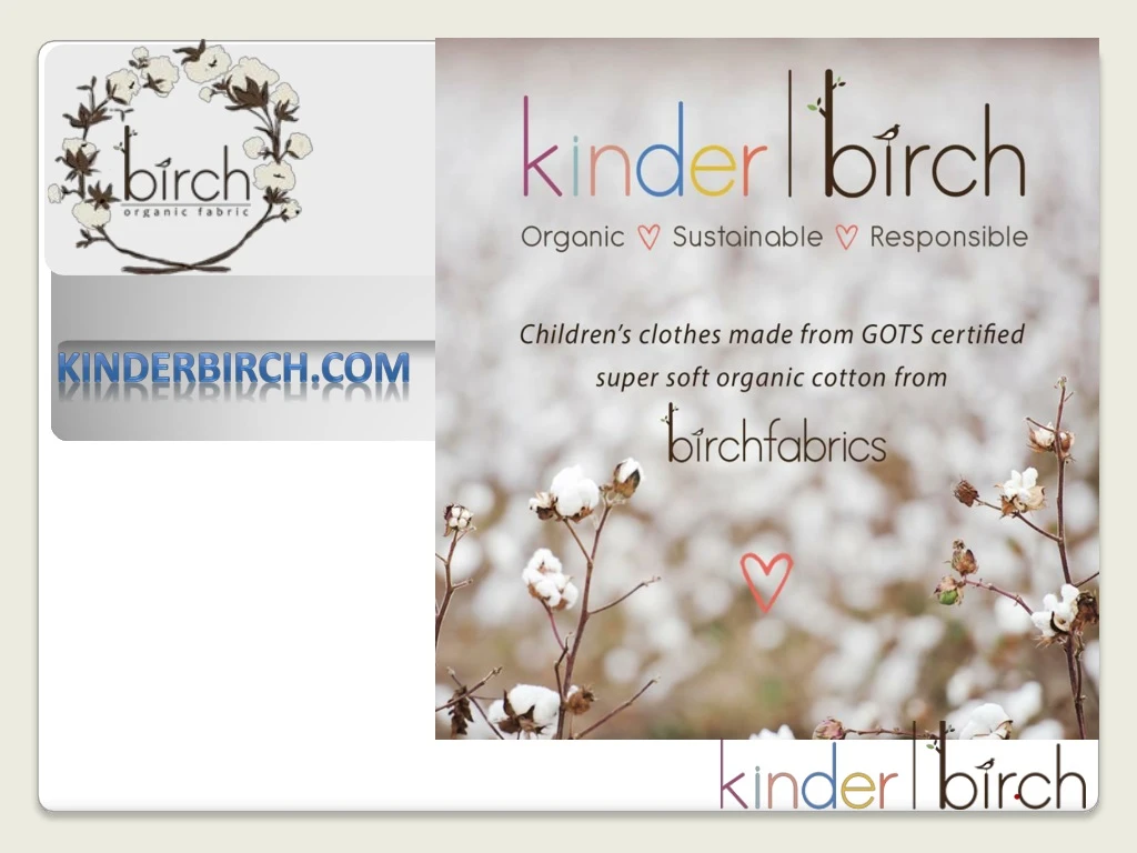 kinderbirch com