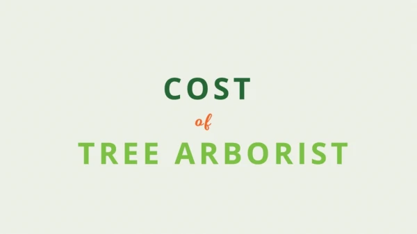 How Much Does an Arborist Cost