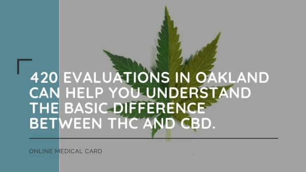 420 Evaluations in Oakland Can Help You Understand The Basic Difference Between THC and CBD.