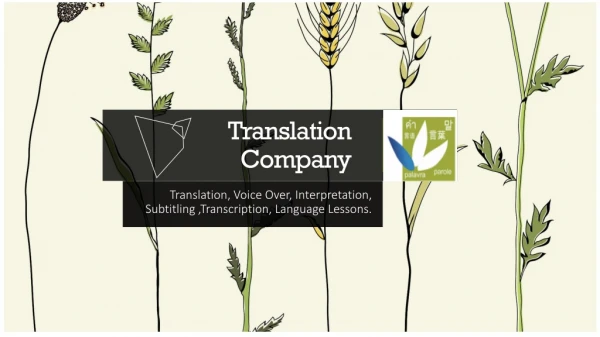 Translation Company in Bangalore