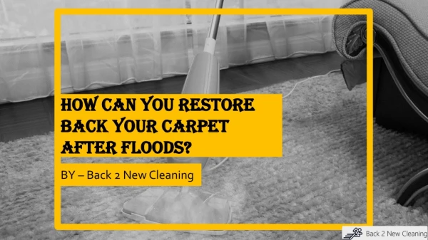 How Can You Restore Back Your Carpet After Floods?