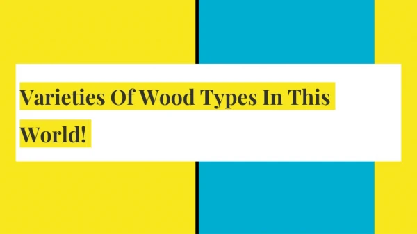 Varieties Of Wood Types In This World!
