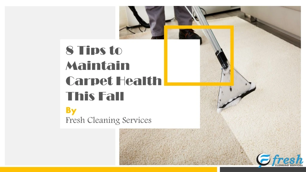 8 tips to maintain carpet health this fall