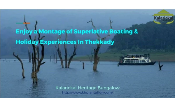 Enjoy a Montage of Superlative Boating & Holiday Experiences In Thekkady