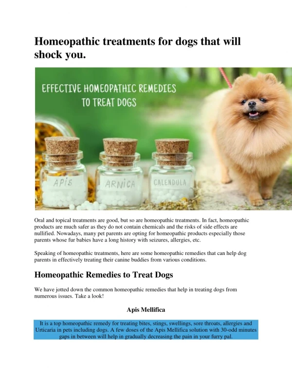 Homeopathic treatments for dogs that will shock you.